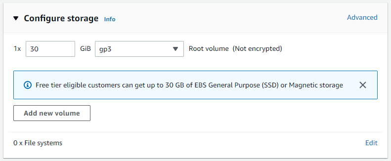 Configure new EBS GP3 volume to be 30GB