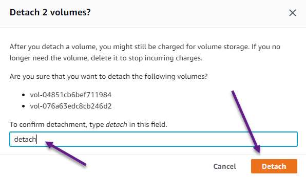 Confirm you want to detach volumes from instance