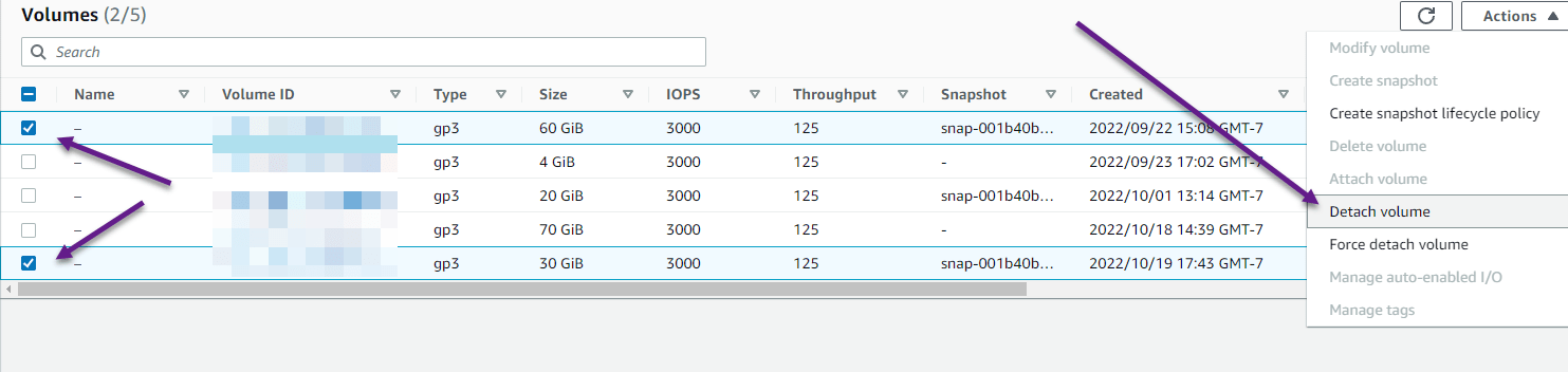Detach both root volumes from the instance