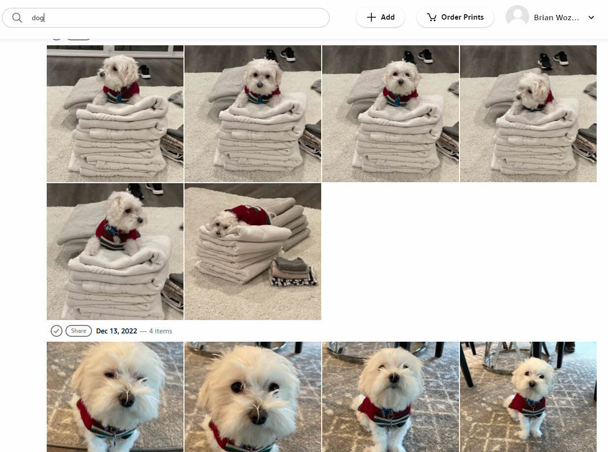 Amazon Photos automatically classifying photos for search