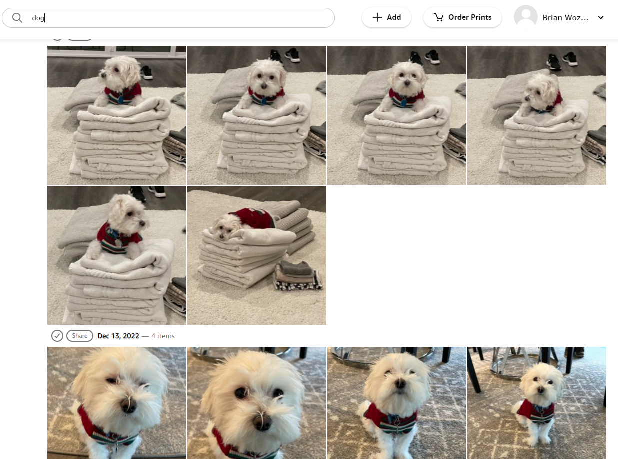 Amazon Photos automatically classifying photos for search