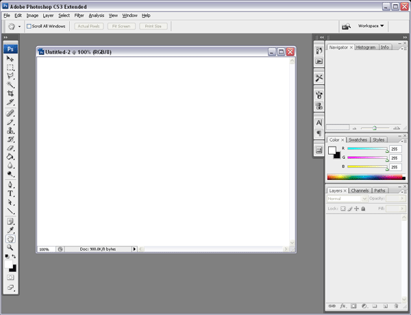 Figure 7 - A blank document created in the workspace
